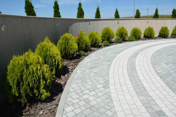 Best Cobblestone Driveway Pavers  in Thomson, GA